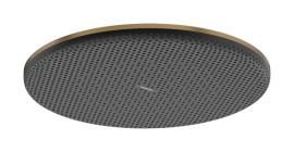 Dušo galva HANSGROHE Raindance Alive S 300, 1 srovės, EcoSmart, spalva - šlifuotos bronzos (brushed bronze)