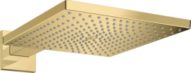 Dušo galva su laikikliu iš sienos HANSGROHE Raindance E 300, 1 srovės, spalva - poliruoto aukso (polished gold optic)