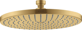 Dušo galva AXOR Starck 240 1 jet, šlifuoto aukso spalvos (Brushed Gold Optic)