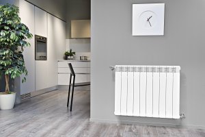 Aliuminis rad. 500/100 EXCLUSIVO V66034