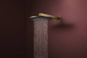 Dušo galva HANSGROHE Raindance Alive S 300, 1 srovės, spalva - šlifuotos bronzos (brushed bronze)