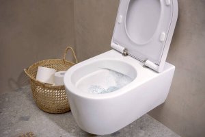 Pakabinamo WC unitazo Hansgrohe EluPura S su AquaFall Flush nuplovimu ir dangčio su SoftClose+QuickRelease komplektas