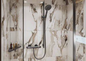 Termostatinis dušo maišytuvas HANSGROHE Ecostat Comfort, spalva - šlifuoto juodo chromo