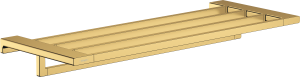 Lentyna rankšluosčiams Hansgrohe AddStoris, poliruoto aukso spalva (Polished Gold Optic)