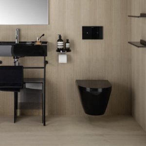Pakabinamas unitazas Laufen KARTELL, Rimless, spalva - juoda blizgi