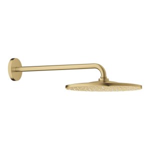 Galva iš sienos Rainshower Mono 310 su alkūne 422 1 srovės 9.5l/min matinė aukso spalva