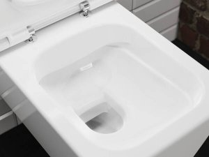 Pakabinamo WC unitazo Hansgrohe EluPura Q su AquaFall Flush nuplovimu, SmartClean danga ir dangčio su SoftClose+QuickRelease komplektas