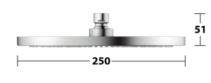 Dušo galva Ø250mm, nerūdijančio plieno spalvos (PVD)