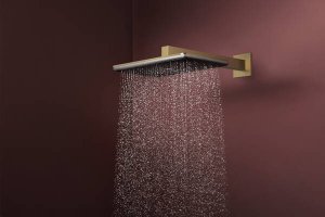 Dušo galva HANSGROHE Raindance Alive Q 210/340, 1 srovės, spalva - šlifuotos bronzos (brushed bronze)