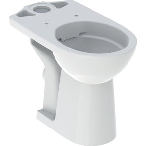 WC puodas Geberit Selnova Comfort, Rimfree, žmonėms su negalia, be bakelio