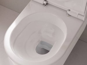 Pakabinamas WC unitazas Hansgrohe EluPura S, su AquaFall Flush nuplovimu