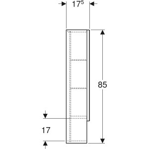 Spintelė veidrodinė Geberit Selnova Square 60 cm. balta blizgi