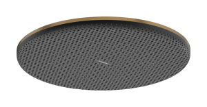 Dušo galva HANSGROHE Raindance Alive S 300, 1 srovės, EcoSmart, spalva - šlifuotos bronzos (brushed bronze)