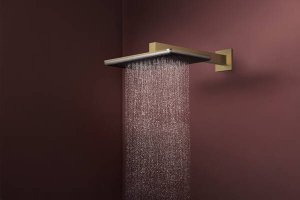 Dušo galva HANSGROHE Raindance Alive Q 210/340, 1 srovės, spalva - šlifuotos bronzos (brushed bronze)