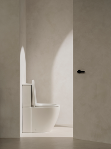 Unitazo puodas ROCA Meridian Rimless Vortex, vario, spalva - balta matinė