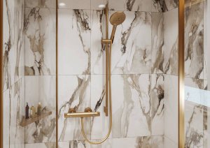 Rankinė dušo galva HANSGROHE Raindance Select S 120, 3 srovių, spalva - šlifuotos bronzos (brushed bronze)