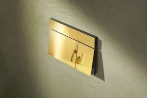 WC nuleidimo mygtukas Hansgrohe iFrame Element E, poliruoto aukso spalvos