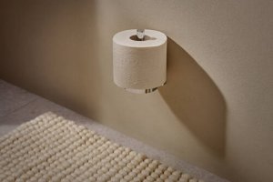 Tualetinio popieriaus laikiklis Hansgrohe AddStoris S atsarginiam rulonui, chromas