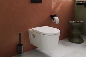 WC šepetys Hansgrohe WallStoris, matinis juodas