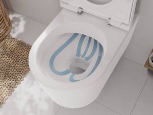 Pakabinamo WC unitazo Hansgrohe EluPura S su AquaFall Flush nuleidimu ir HygieneEffect danga ir dangčio su SoftClose+QuickRelease komplektas
