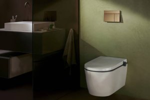 WC nuleidimo mygtukas Hansgrohe iFrame Element E, šlifuotos bronzos spalvos