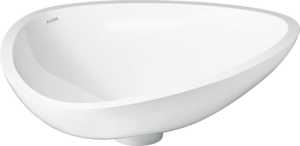 Praustuvas - dubuo AXOR Massaud, 570x450x144 mm