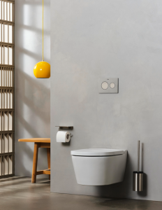 Dangtis wc ROCA Inspira Round softclose