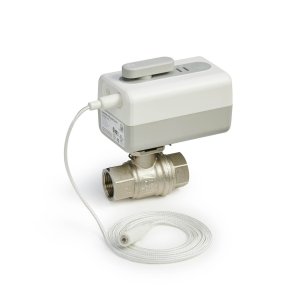 Ventilis su pavara WIFI DN25 su laidu 1.5m