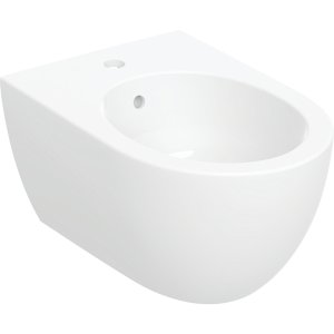 Pakabinamas bidė Geberit Acanto, T53 cm