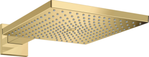 Dušo galva su laikikliu iš sienos HANSGROHE Raindance E 300, 1 srovės, spalva - poliruoto aukso (polished gold optic)