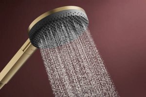 Rankinė dušo galva HANSGROHE Raindance Alive Select S 125, 3 srovių, spalva - šlifuotos bronzos (brushed bronze)