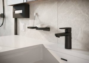Muilinė Hansgrohe AddStoris, matinė juoda