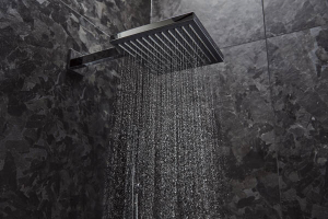 Dušo galva HANSGROHE Pulsify E 260, 1 srovės, EcoSmart+, spalva - chromo (chrome)