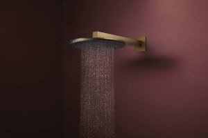 Dušo galva HANSGROHE Raindance Alive S 300, 1 srovės, EcoSmart, spalva - šlifuotos bronzos (brushed bronze)