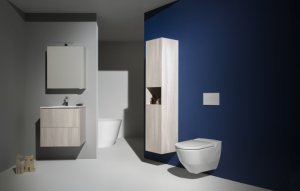 Pakabinamas unitazas Laufen CLEANET NAVIA, Rimless, su higieninio dušo funkcija, su lėtai užsidarančiu dangčiu, spalva - balta LCC (LAUFEN Clean Coat)