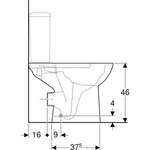 WC puodas Geberit Selnova Comfort, Rimfree, žmonėms su negalia, be bakelio