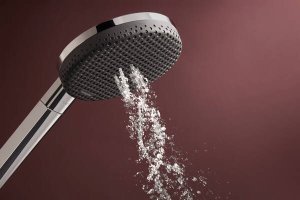 Rankinė dušo galva HANSGROHE Raindance Alive Select S 125, 3 srovių, spalva - chromo (chrome)