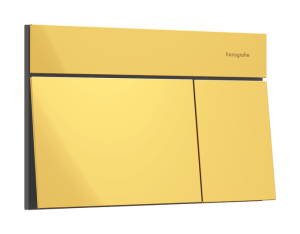 WC nuleidimo mygtukas Hansgrohe iFrame Element E, poliruoto aukso spalvos