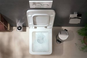 WC šepetys Hansgrohe AddStoris, chromo spalva