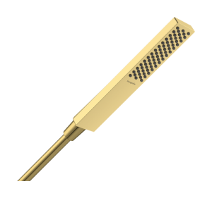 Rankinė dušo galvutė HANSGROHE Pulsify E 100, 1 srovės, EcoSmart+, spalva - poliruoto aukso (polished gold optic)