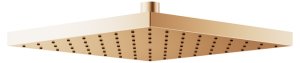 Dušo galva 250x250mm brushed bronze
