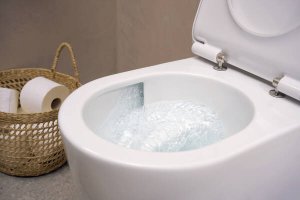 Pakabinamas WC unitazas Hansgrohe EluPura S, su AquaHelix Flush nuplovimu ir HygieneEffect danga