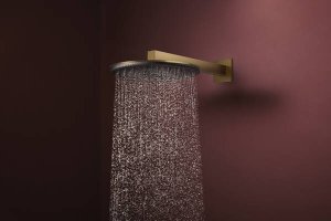 Dušo galva HANSGROHE Raindance Alive S 300, 1 srovės, spalva - šlifuotos bronzos (brushed bronze)