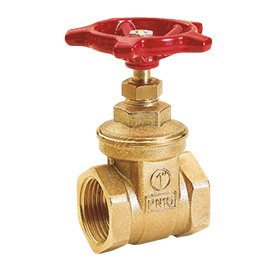 Žalvarinė GIACOMINI R55 sklendė Dn3/4"